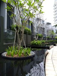 Skies Miltonia (D27), Condominium #597350631